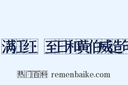 满江红·至日和黄伯威造句是什么意思的图片